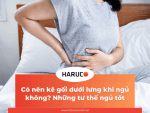 dai-lung-cot-song-haruco