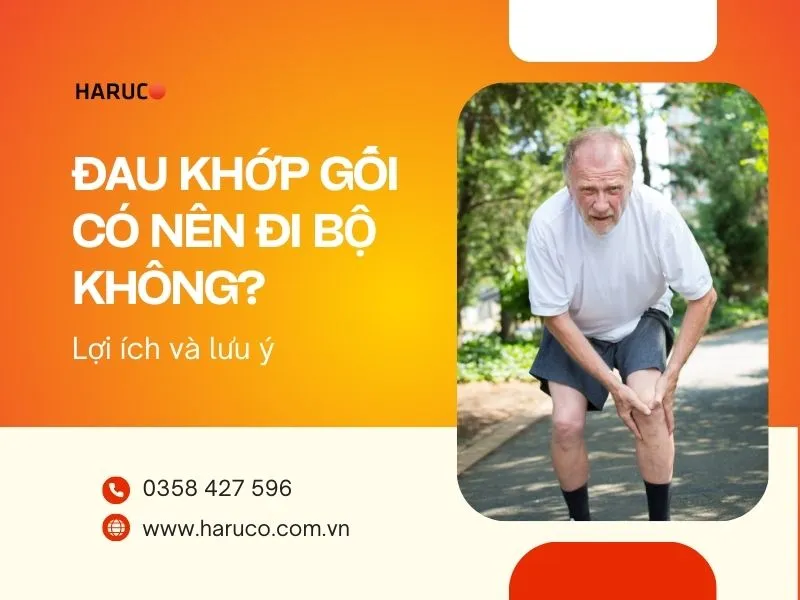 dai-lung-cot-song-haruco