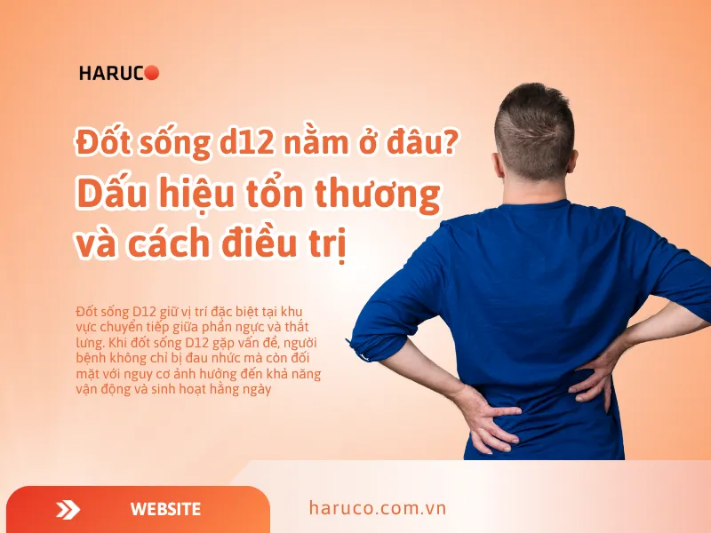 dai-lung-cot-song-haruco