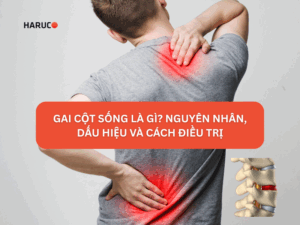 dai-lung-cot-song-haruco