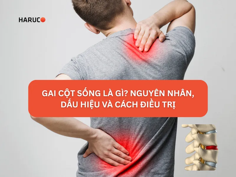 dai-lung-cot-song-haruco