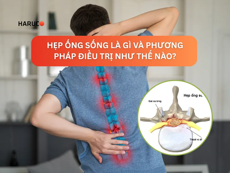dai-lung-cot-song-haruco