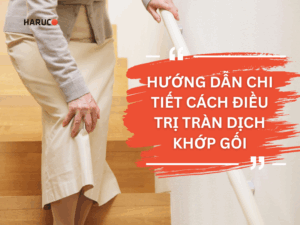 dai-lung-cot-song-haruco