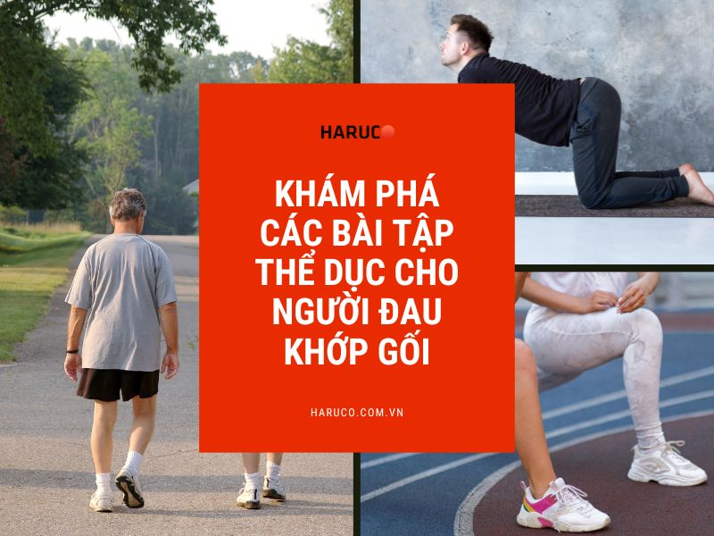 dai-lung-cot-song-haruco