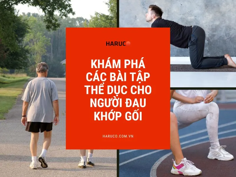 dai-lung-cot-song-haruco