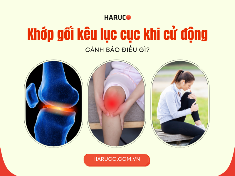 dai-lung-cot-song-haruco