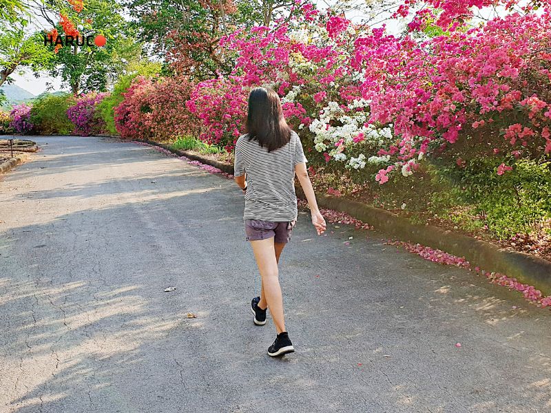 dai-lung-cot-song-haruco