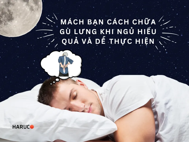 dai-lung-chong-gu-haruco