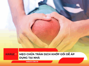 dai-lung-cot-song-haruco