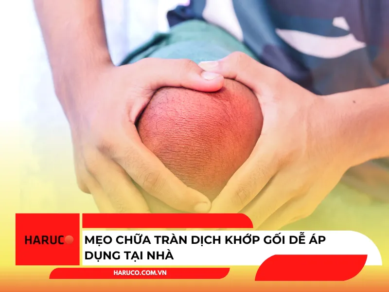dai-lung-cot-song-haruco
