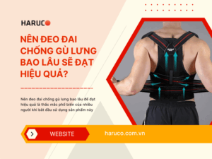 dai-lung-chong-gu-haruco