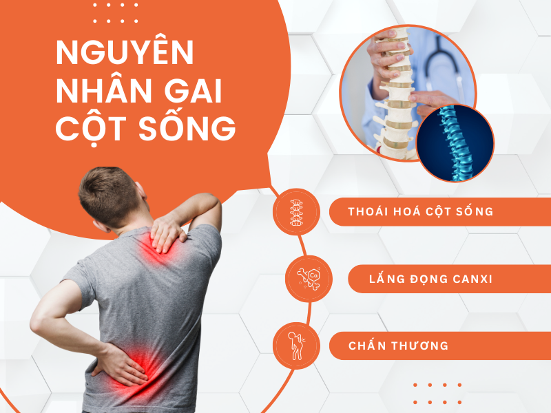 dai-lung-cot-song-haruco