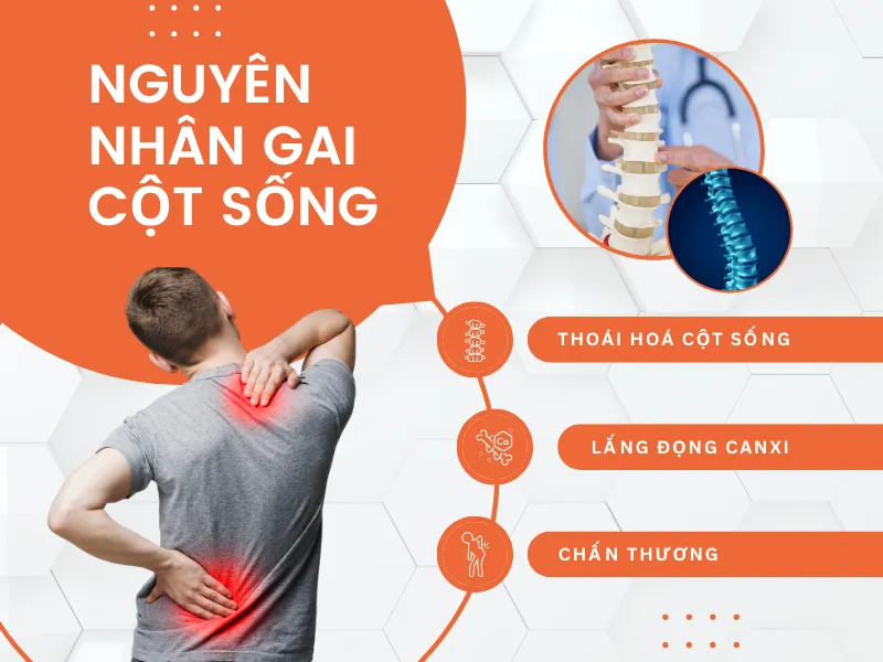 dai-lung-cot-song-haruco