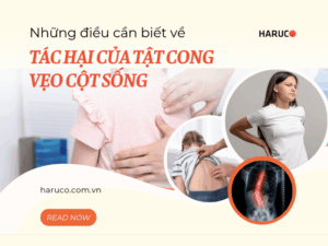 dai-lung-cot-song-haruco