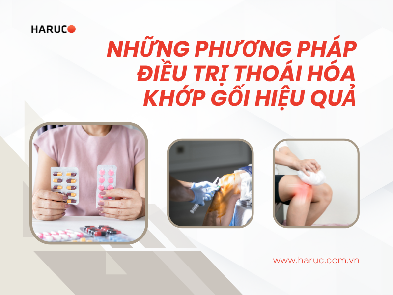dai-lung-cot-song-haruco