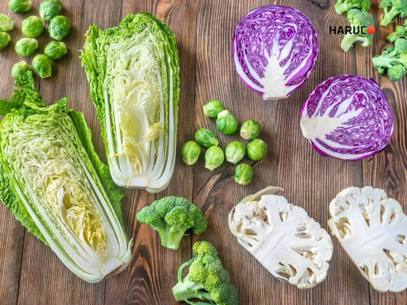 thực phẩm tốt cho khớp gối