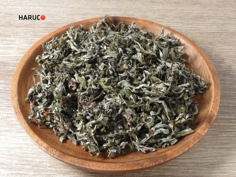 chữa tràn dịch khớp gối bằng ngải cứu - 3