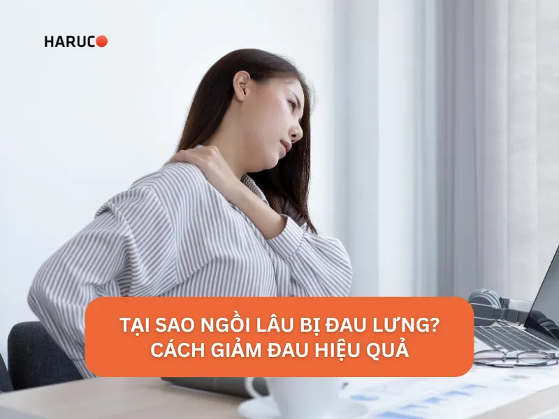 dai-lung-cot-song-haruco