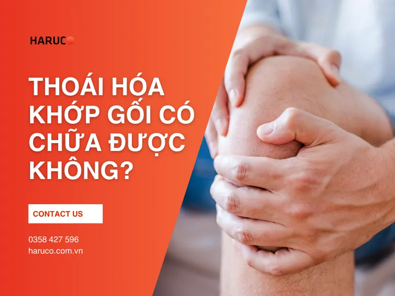Thoái hóa khớp gối có chữa được không