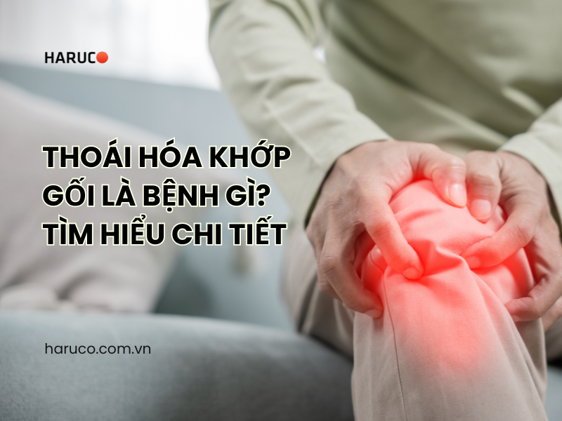 Thoái hóa khớp gối là bệnh gì? Tìm hiểu chi tiết