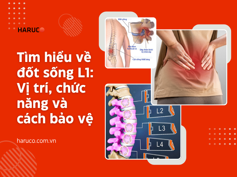 Tìm hiểu về đốt sống L1: Vị trí, chức năng và cách bảo vệ