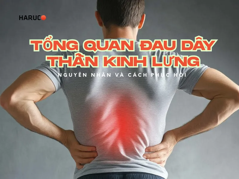 dai-lung-cot-song-haruco