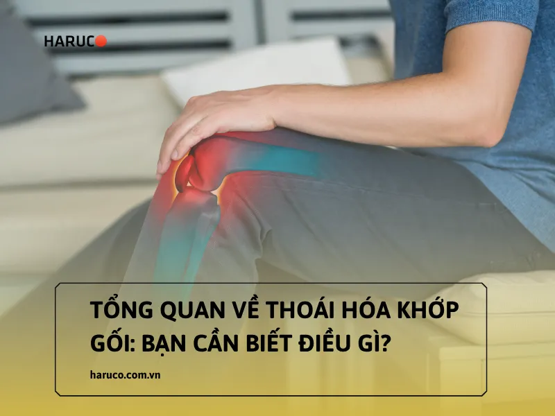 thoái hóa khớp gối
