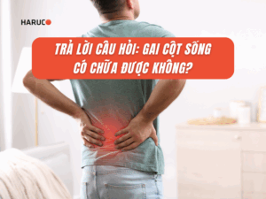 dai-lung-cot-song-haruco