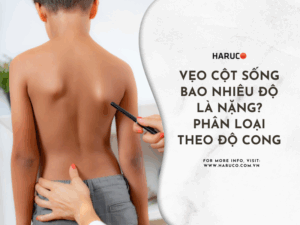 dai-lung-cot-song-haruco