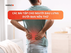 dai-lung-cot-song-haruco