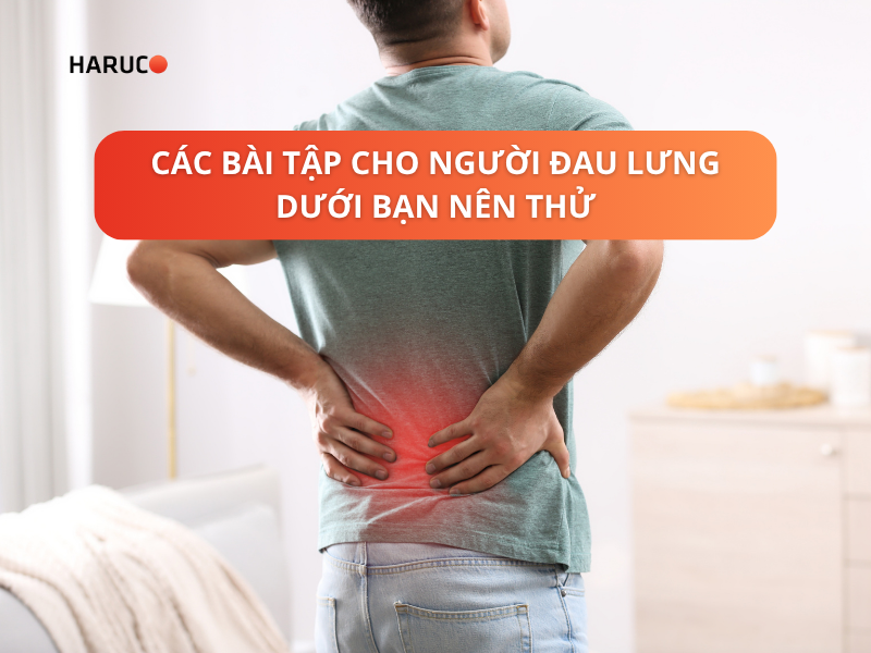 Các bài tập cho người đau lưng dưới bạn nên thử