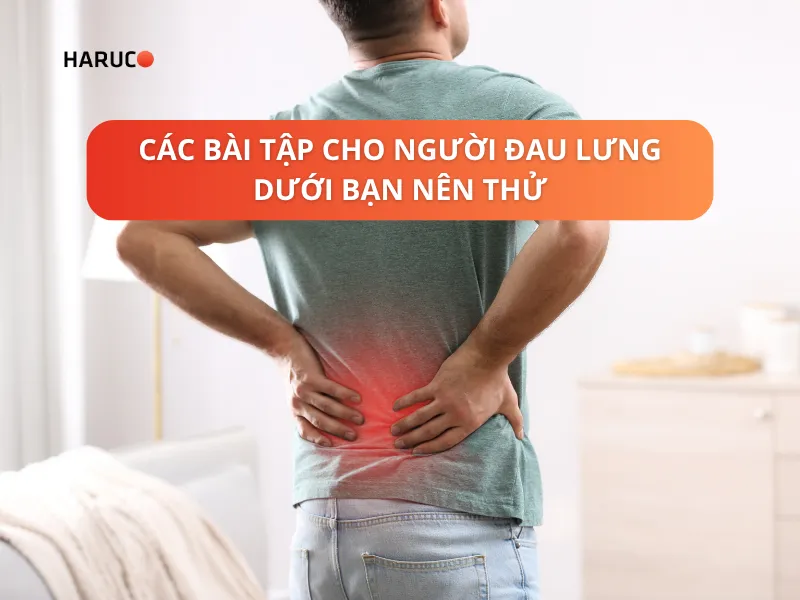 dai-lung-cot-song-haruco