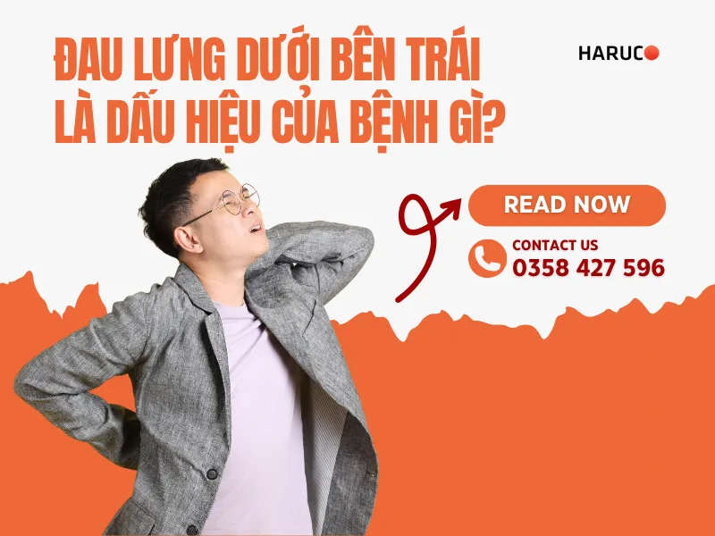 dai-lung-cot-song-haruco