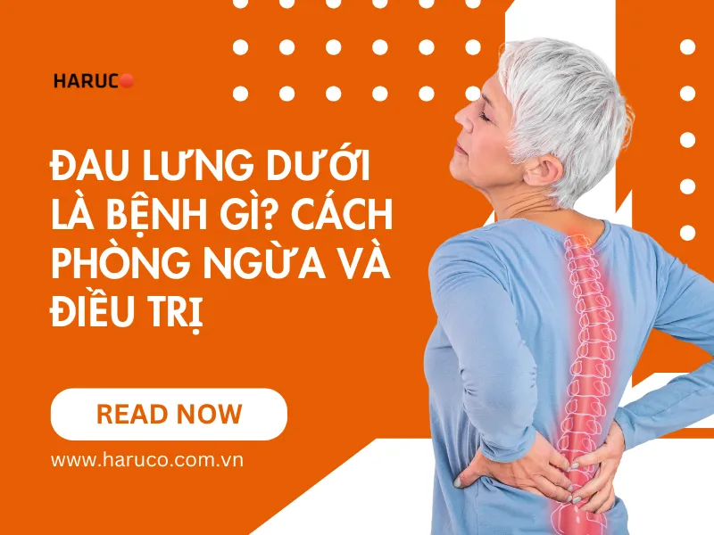 dai-lung-cot-song-haruco