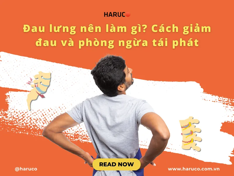 dai-lung-cot-song-haruco