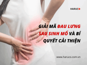 dai-lung-cot-song-haruco