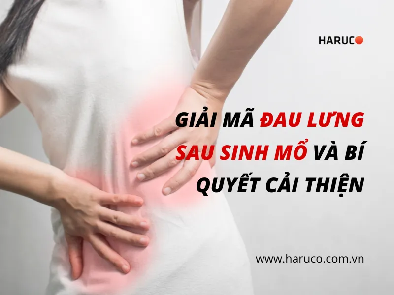dai-lung-cot-song-haruco