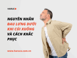 dai-lung-cot-song-haruco