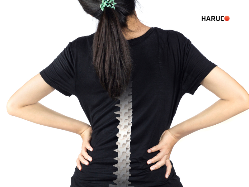 dai-lung-cot-song-haruco