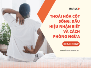 dai-lung-cot-song-haruco