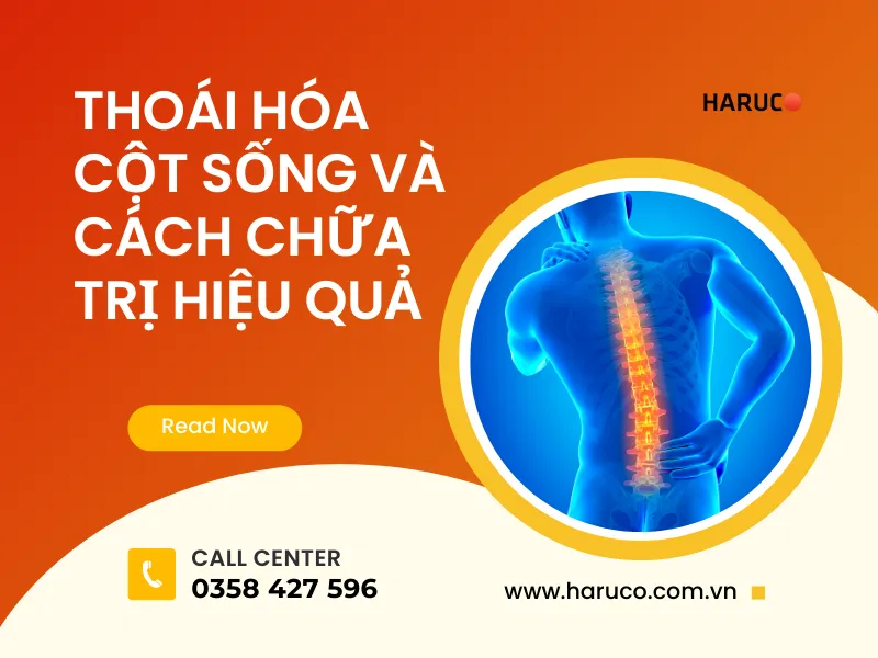 dai-lung-cot-song-haruco