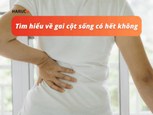 dai-lung-cot-song-haruco