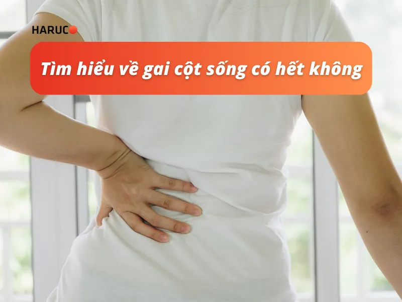 dai-lung-cot-song-haruco