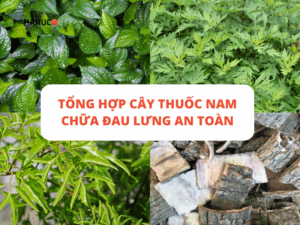 dai-lung-cot-song-haruco