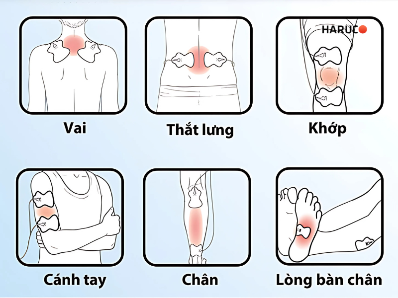 may-massae-xung-dien-haruco