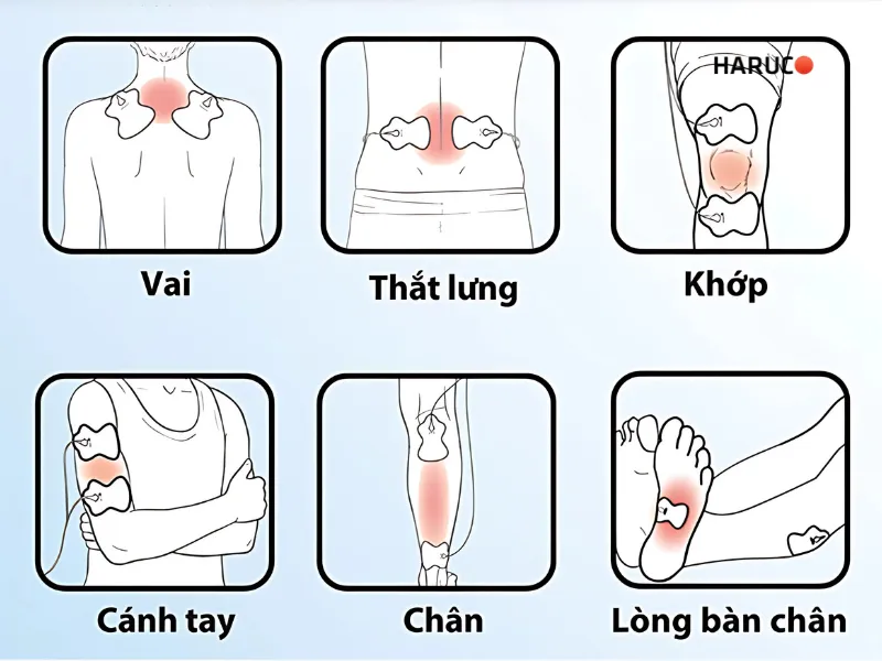 may-massae-xung-dien-haruco