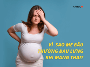 dai-lung-cot-song-haruco