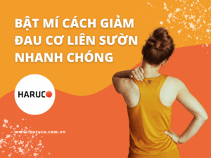 dai-lung-cot-song-haruco