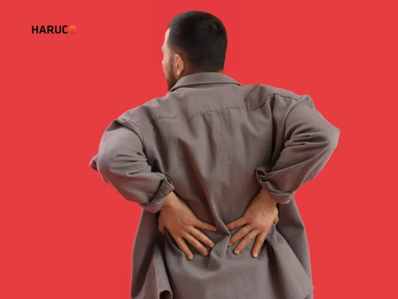 dai-lung-cot-song-haruco