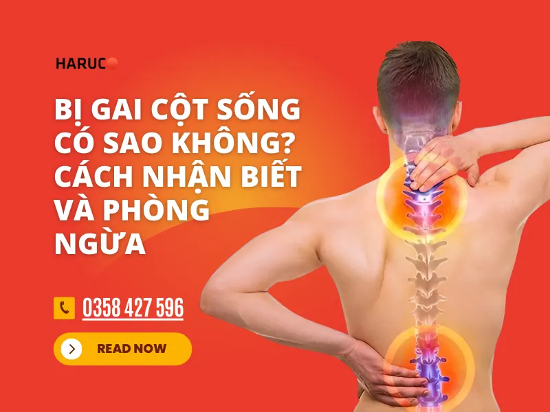 dai-lung-cot-song-haruco